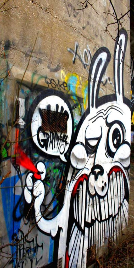 Graffitis en Paredes