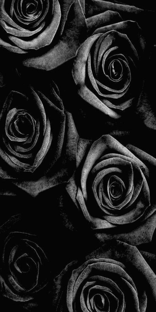rosas negras goticas